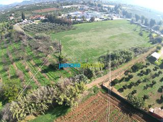 Οικόπεδο 8.230,47 τ.μ. για πώληση, Αργολίδα, Άργος-thumb-16