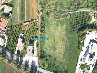 Οικόπεδο 8.230,47 τ.μ. για πώληση, Αργολίδα, Άργος-thumb-19
