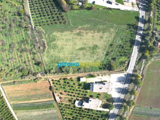 Οικόπεδο 8.230,47 τ.μ. για πώληση, Αργολίδα, Άργος-thumb-18