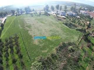 Οικόπεδο 8.230,47 τ.μ. για πώληση, Αργολίδα, Άργος-thumb-5