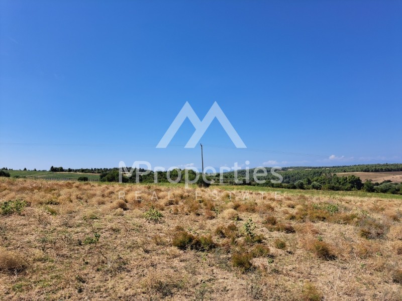 Αγροτεμάχια 23.125 τ.μ. προς πώληση, Κασσάνδρεια