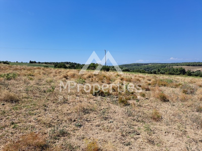 Αγροτεμάχια 23.125 τ.μ. προς πώληση, Κασσάνδρεια