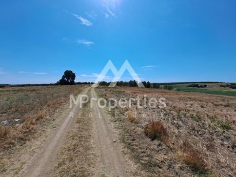 Αγροτεμάχια 12.012τ.μ. για πώληση-Κασσάνδρα » Κασσάνδρεια