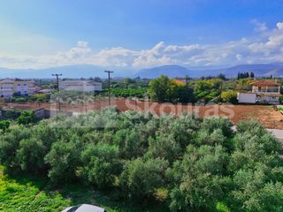 Οικόπεδο 800 τ.μ. για πώληση, Αργολίδα, Άργος-thumb-4