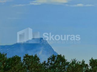 Οικόπεδο 800 τ.μ. για πώληση, Αργολίδα, Άργος-thumb-13