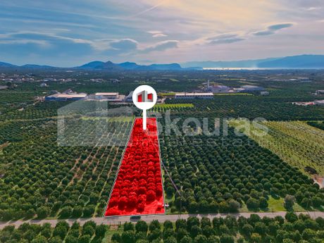 Αγροτεμάχια 4.300τ.μ. για πώληση-Μιδέα