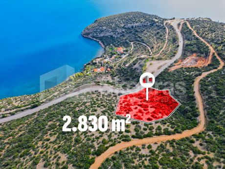 Αγροτεμάχια 2.830τ.μ. για πώληση-Βόρεια κυνουρία