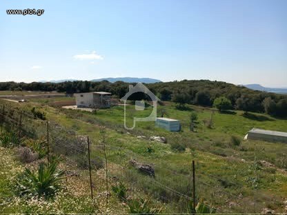 Φάρμα / ράντσο 16.500 τ.μ. προς πώληση, Θεσπρωτία, Φιλιάτες