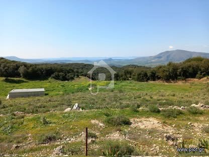 Φάρμα / ράντσο 16.500 τ.μ. προς πώληση, Θεσπρωτία, Φιλιάτες