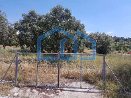 Αγροτεμάχια 2.200 τ.μ. για πώληση