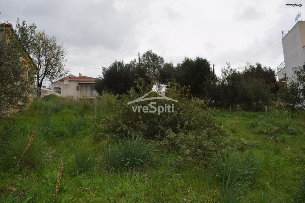 Οικόπεδο 643 τ.μ. προς πώληση, Πέρδικα Θεσπρωτίας