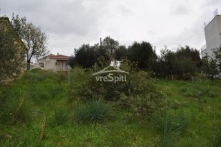 Land plot 643 sqm for sale, Thesprotia, Perdika-thumb-2