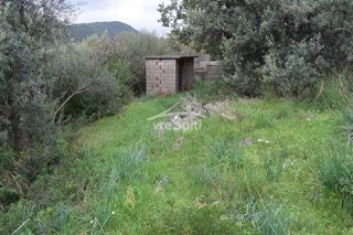 Land plot 643 sqm for sale, Thesprotia, Perdika-thumb-5