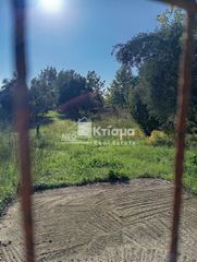 Οικόπεδο 6.100 τ.μ. για πώληση