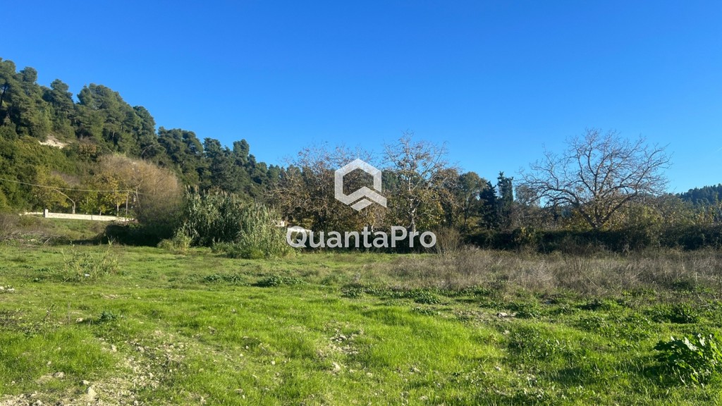 Οικόπεδο 3.900 τ.μ. προς πώληση, Κασσανδρηνό