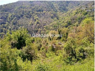 Αγροτεμάχια 4.455 τ.μ. για πώληση