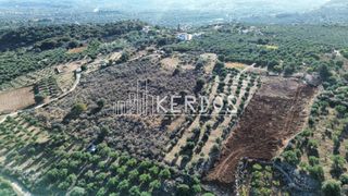 Οικόπεδο 19.086 τ.μ. προς πώληση, Στύλος-thumb-2