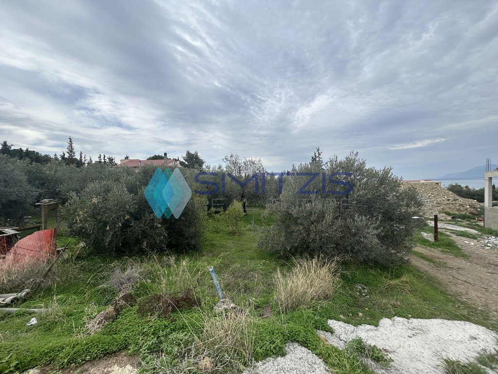 Οικόπεδο 308 τ.μ. πρός πώληση, Εύβοια, Νέα Αρτάκη