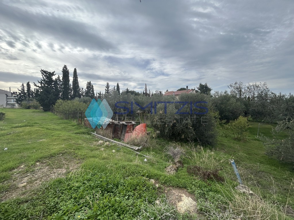 Οικόπεδο 308 τ.μ. πρός πώληση, Εύβοια, Νέα Αρτάκη