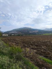 Οικόπεδο 5.000 τ.μ. για πώληση