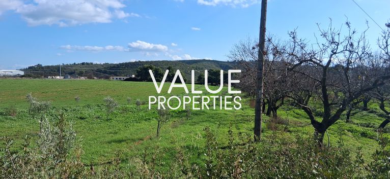 Land plot 20.000 sqm for sale, Evia, Avlida