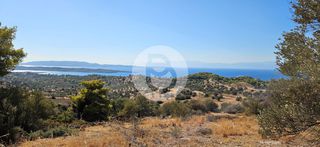 Οικόπεδο 8.000 τ.μ. για πώληση