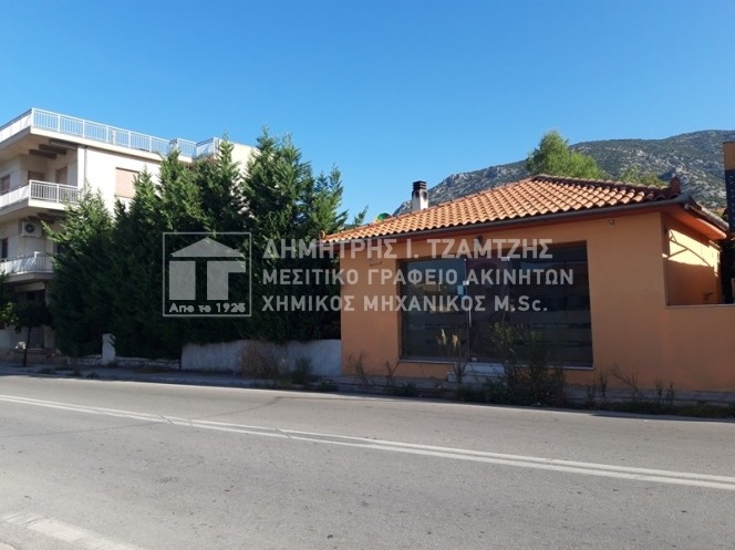 Μονοκατοικία 175 τ.μ. πρός πώληση, Μαγνησία, Αγριά