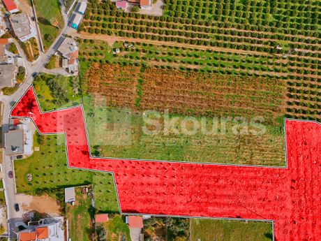 Οικόπεδο 8.099τ.μ. για πώληση-Νέα τίρυνθα