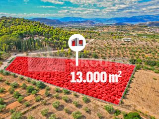 Αγροτεμάχια 13.000 τ.μ. για πώληση