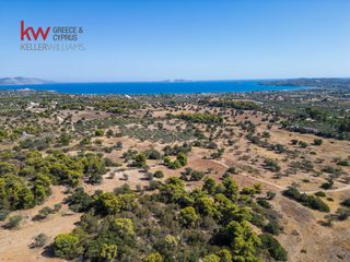 Αγροτεμάχια 6.528 τ.μ. για πώληση, Αργολίδα, Κρανίδι-thumb-8
