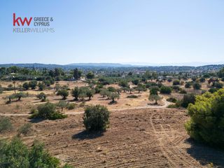 Αγροτεμάχια 6.528 τ.μ. για πώληση, Αργολίδα, Κρανίδι-thumb-19