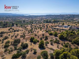 Αγροτεμάχια 6.528 τ.μ. για πώληση, Αργολίδα, Κρανίδι-thumb-4