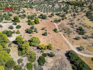 Αγροτεμάχια 6.528 τ.μ. για πώληση, Αργολίδα, Κρανίδι-thumb-11