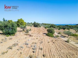 Αγροτεμάχια 6.528 τ.μ. για πώληση, Αργολίδα, Κρανίδι-thumb-17