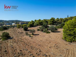 Αγροτεμάχια 6.528 τ.μ. για πώληση, Αργολίδα, Κρανίδι-thumb-14