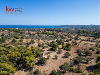 Αγροτεμάχια 6.528 τ.μ. για πώληση, Αργολίδα, Κρανίδι-thumb-6