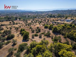 Αγροτεμάχια 6.528 τ.μ. για πώληση, Αργολίδα, Κρανίδι-thumb-5