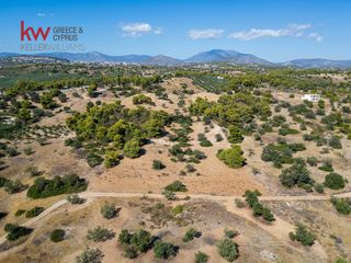 Αγροτεμάχια 6.528 τ.μ. για πώληση, Αργολίδα, Κρανίδι-thumb-2