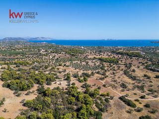 Αγροτεμάχια 6.528 τ.μ. για πώληση, Αργολίδα, Κρανίδι-thumb-9