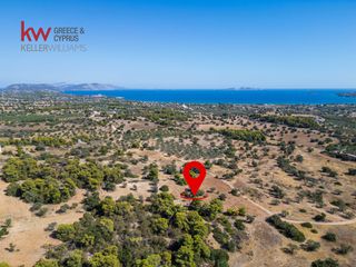 Αγροτεμάχια 6.528 τ.μ. για πώληση, Αργολίδα, Κρανίδι-thumb-10