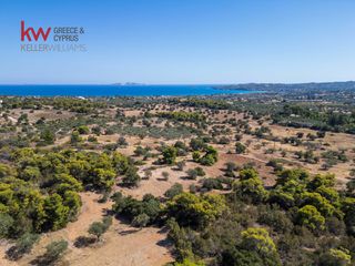 Αγροτεμάχια 6.528 τ.μ. για πώληση, Αργολίδα, Κρανίδι-thumb-7