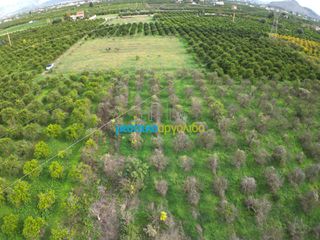 Αγροτεμάχια 12.184,03 τ.μ. για πώληση, Αργολίδα, Άργος-thumb-15