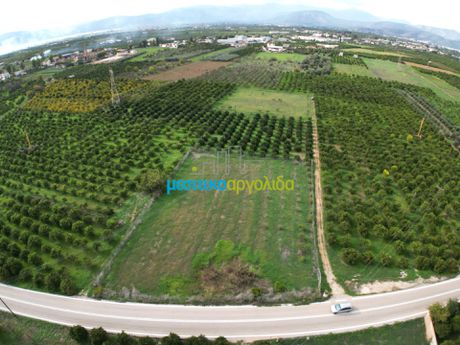 Αγροτεμάχια 12.184,03τ.μ. για πώληση-Άργος
