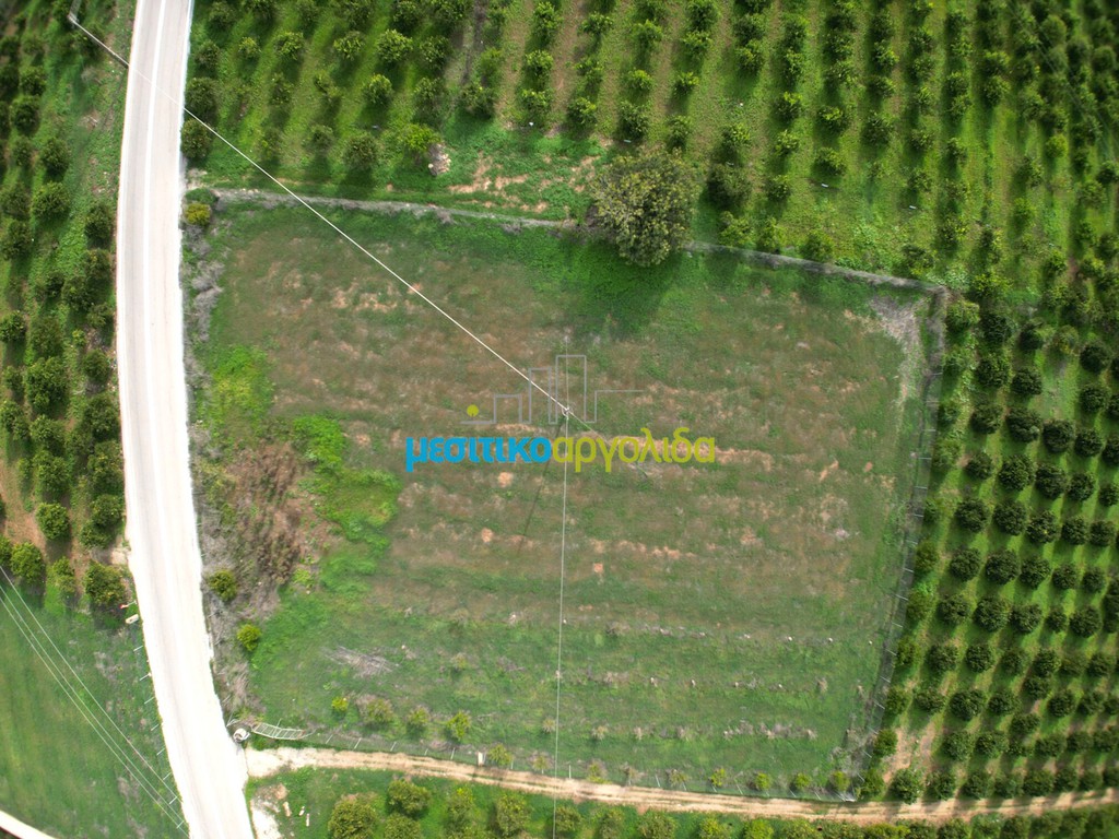 Αγροτεμάχια 12.184,03 τ.μ. προς πώληση, Λάλουκας