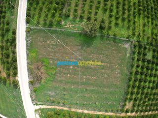 Αγροτεμάχια 12.184,03 τ.μ. για πώληση, Αργολίδα, Άργος-thumb-3