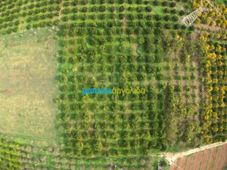 Αγροτεμάχια 12.184,03 τ.μ. για πώληση, Αργολίδα, Άργος-thumb-16