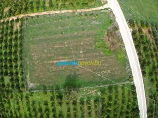 Αγροτεμάχια 12.184,03 τ.μ. για πώληση, Αργολίδα, Άργος-thumb-5