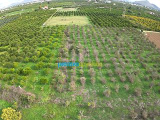 Αγροτεμάχια 12.184,03 τ.μ. για πώληση, Αργολίδα, Άργος-thumb-12