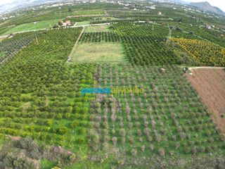 Αγροτεμάχια 12.184,03 τ.μ. για πώληση, Αργολίδα, Άργος-thumb-11