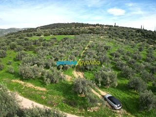 Αγροτεμάχια 8.814,51 τ.μ. για πώληση, Αργολίδα, Κουτσοπόδι-thumb-7